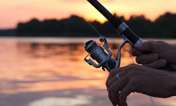 Right Fishing Rod with Balanced Capabilities