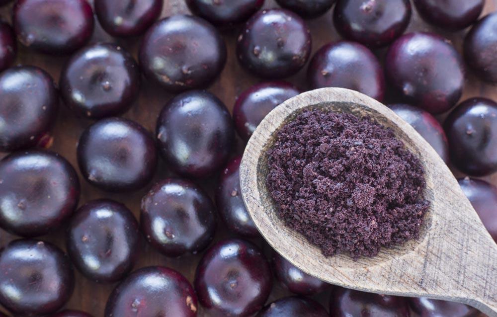 Description: Image result for acai berries powder